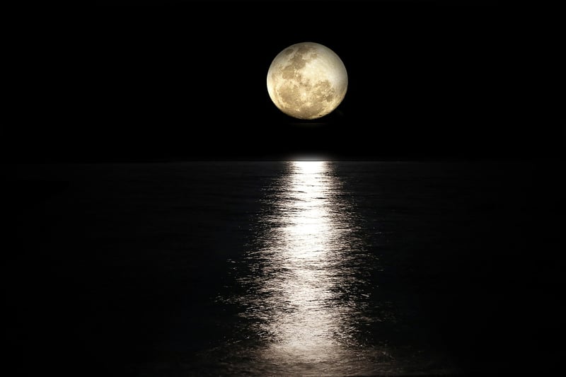 Moonlit Palace
